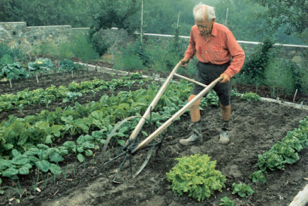 Nearing Enough: Simple Living Lessons Image